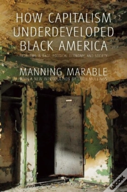 Capa do artigo How Capitalism Underdeveloped Black America