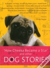 Capa do artigo How Cheeka Became A Star