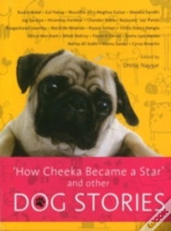 Capa do artigo How Cheeka Became A Star