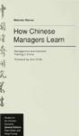 How Chinese Managers Learn - Preview
