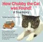 How Chubby The Cat Was Found! - Preview