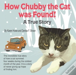 Capa do artigo How Chubby The Cat Was Found!