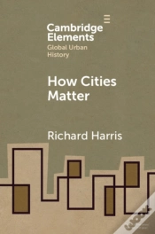 Capa do artigo How Cities Matter