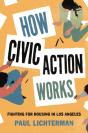 How Civic Action Works - Preview