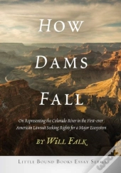 How Dams Fall