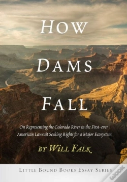 Capa do artigo How Dams Fall
