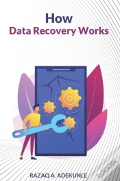 Capa do artigo How Data Recovery Works
