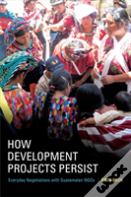 How Development Projects Persist