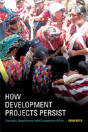 How Development Projects Persist - Preview