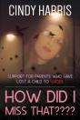How Did I Miss That - Preview
