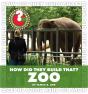 How Did They Build That? Zoo - Preview