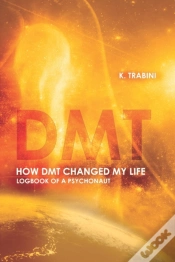 Capa do artigo How Dmt Changed My Life