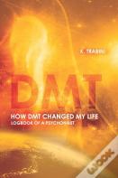How Dmt Changed My Life
