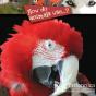 How Do Animals Use...? - Preview