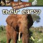 How Do Animals Use... Their Ears? - Preview