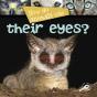 How Do Animals Use... Their Eyes? - Preview