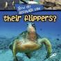 How Do Animals Use Their Flippers? - Preview