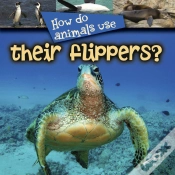 Capa do artigo How Do Animals Use Their Flippers?