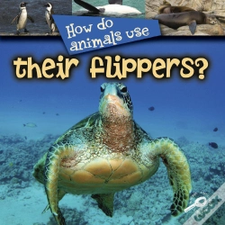 Capa do artigo How Do Animals Use Their Flippers?