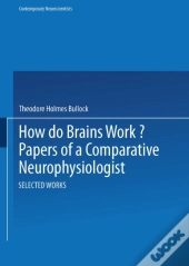 How Do Brains Work?
