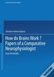 Capa do artigo How Do Brains Work?