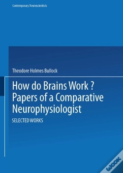 Capa do artigo How Do Brains Work?