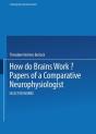 How Do Brains Work? - Preview
