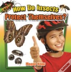 Capa do artigo How Do Insects Protect Themselves?