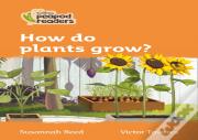 How Do Plants Grow?