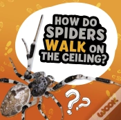 Capa do artigo How Do Spiders Walk On The Ceiling?