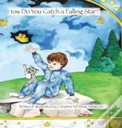 Capa do artigo How Do You Catch A Falling Star?