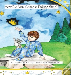 Capa do artigo How Do You Catch A Falling Star?