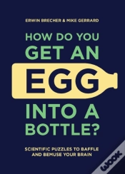 Capa do artigo How Do You Get An Egg Into A Bottle?