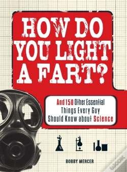 Capa do artigo How Do You Light A Fart?