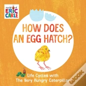 Capa do artigo How Does An Egg Hatch?