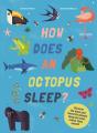 How Does An Octopus Sleep? - Preview