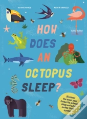 How Does An Octopus Sleep?