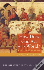 Capa do artigo How Does God Act In The World?