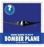 How Does It Fly? Bomber Plane - Preview