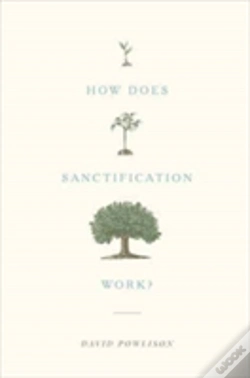 Capa do artigo How Does Sanctification Work?