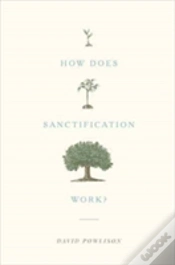 Capa do artigo How Does Sanctification Work?
