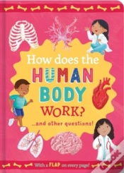 Capa do artigo How Does The Human Body Work?