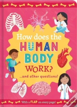 Capa do artigo How Does The Human Body Work?