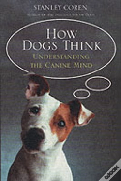 Capa do artigo How Dogs Think