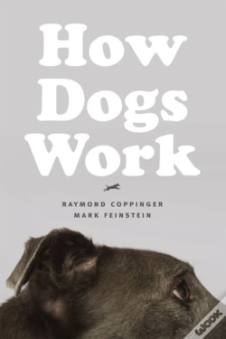 Capa do artigo How Dogs Work