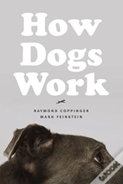 Capa do artigo How Dogs Work