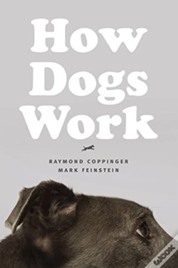 Capa do artigo How Dogs Work