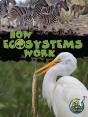 How Ecosystems Work - Preview