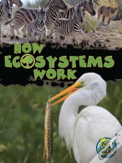Capa do artigo How Ecosystems Work