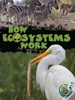 Capa do artigo How Ecosystems Work